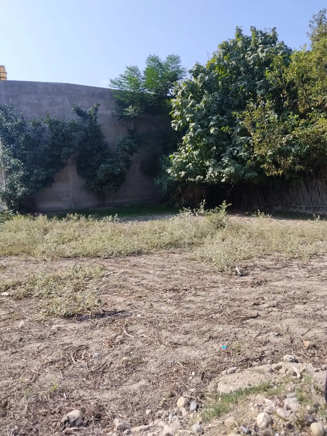 زمین اوجابن