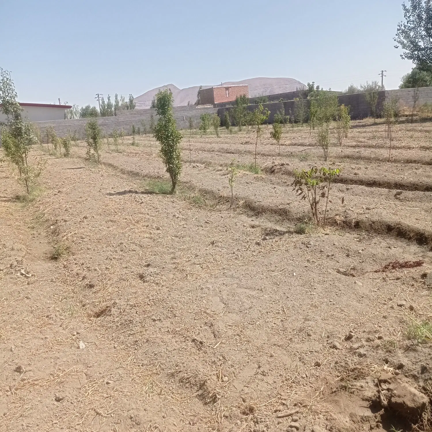 جاده شهیدکلانتری باغ باغچه روستای زرمانلو