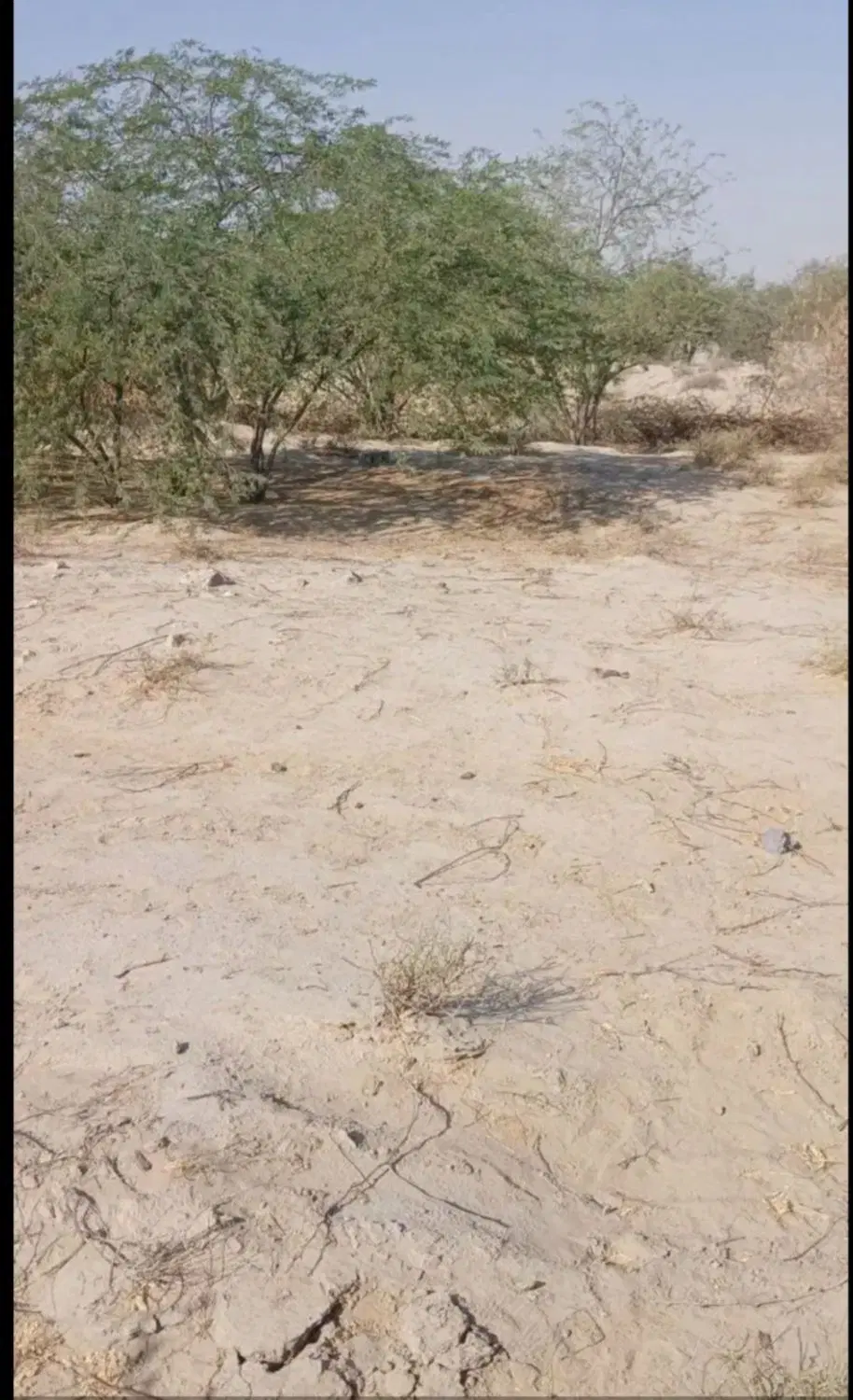 فروش زمین گچین بالا
