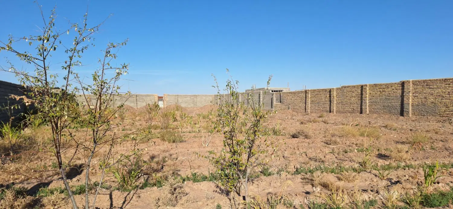 زمین سرچاه زنگویی