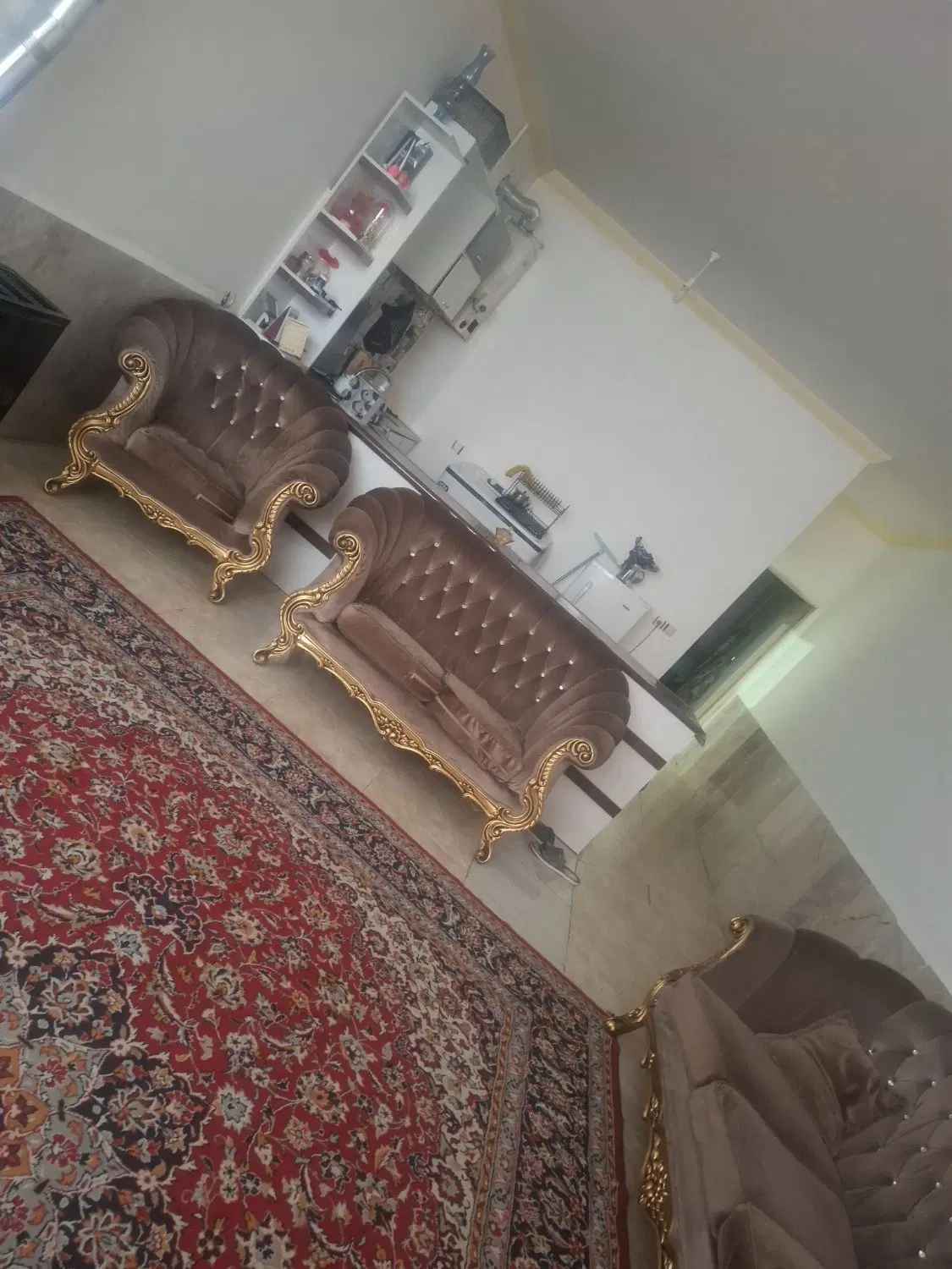 همخانه خانم