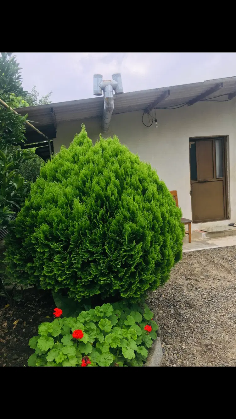 زمین ۲۰۰۰ متری