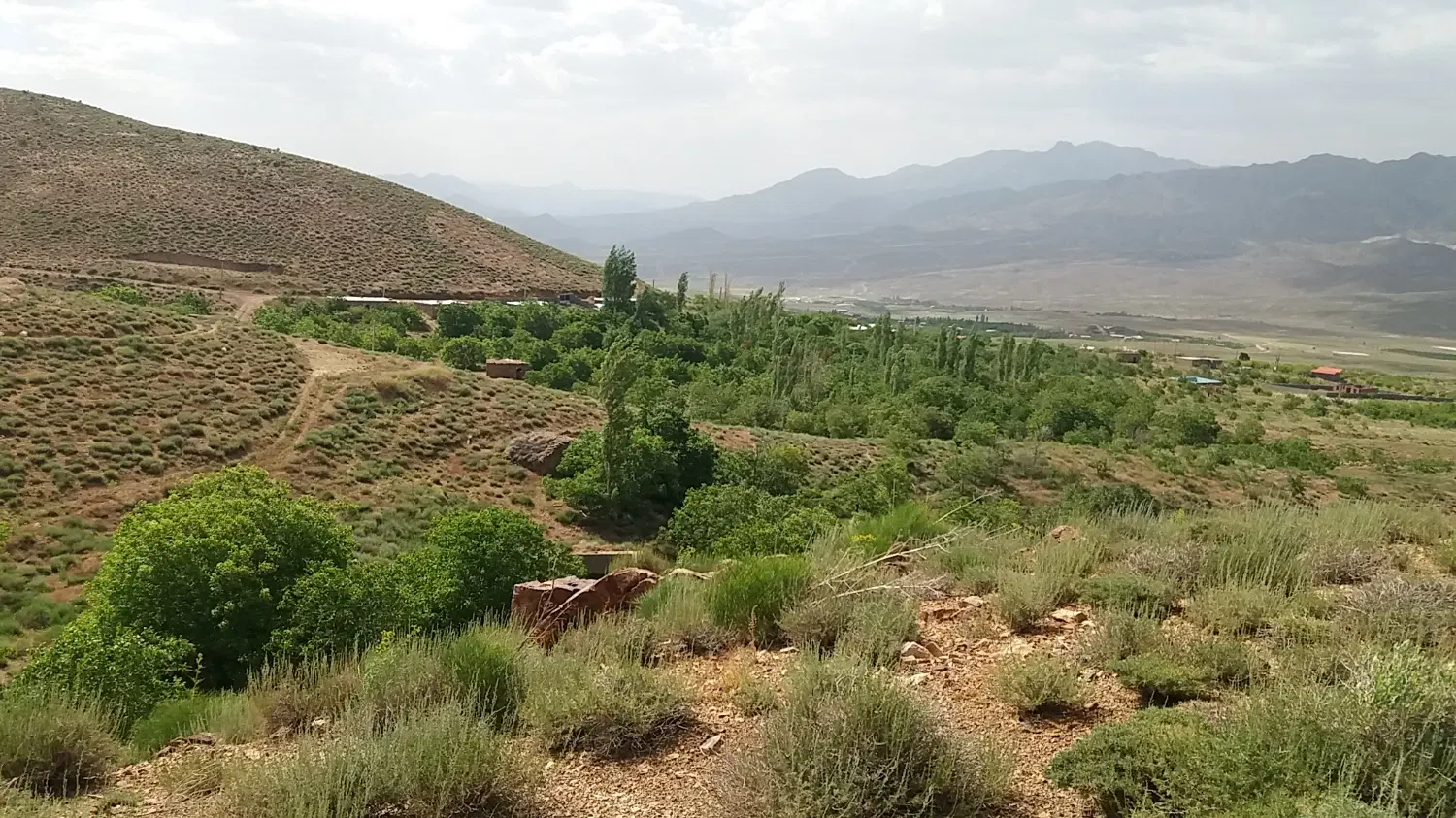 فروش زمین مسکونی در مرکز شهرسلردوئیه