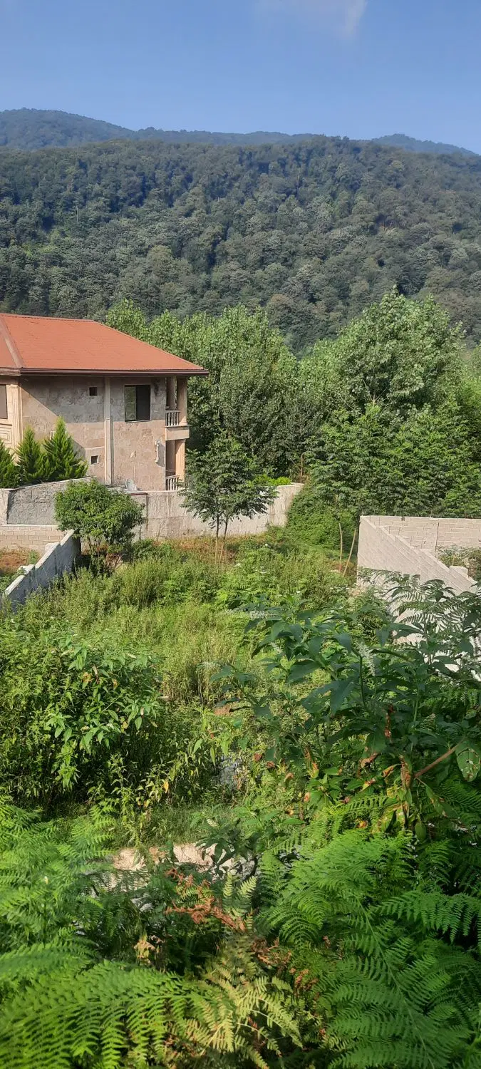 فروش زمین مسکونی زیراب