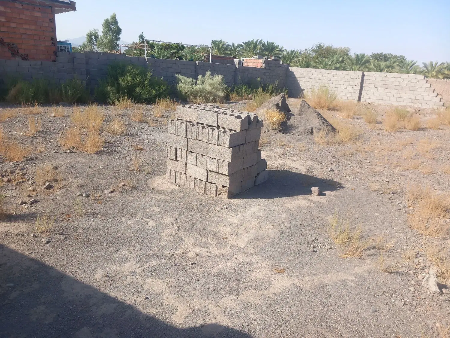 دومن زمین