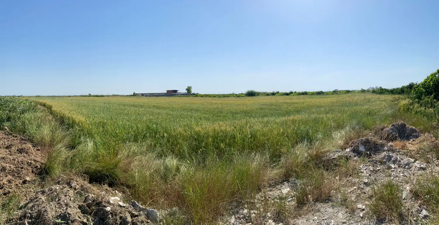 فروش زمین کشاورزی