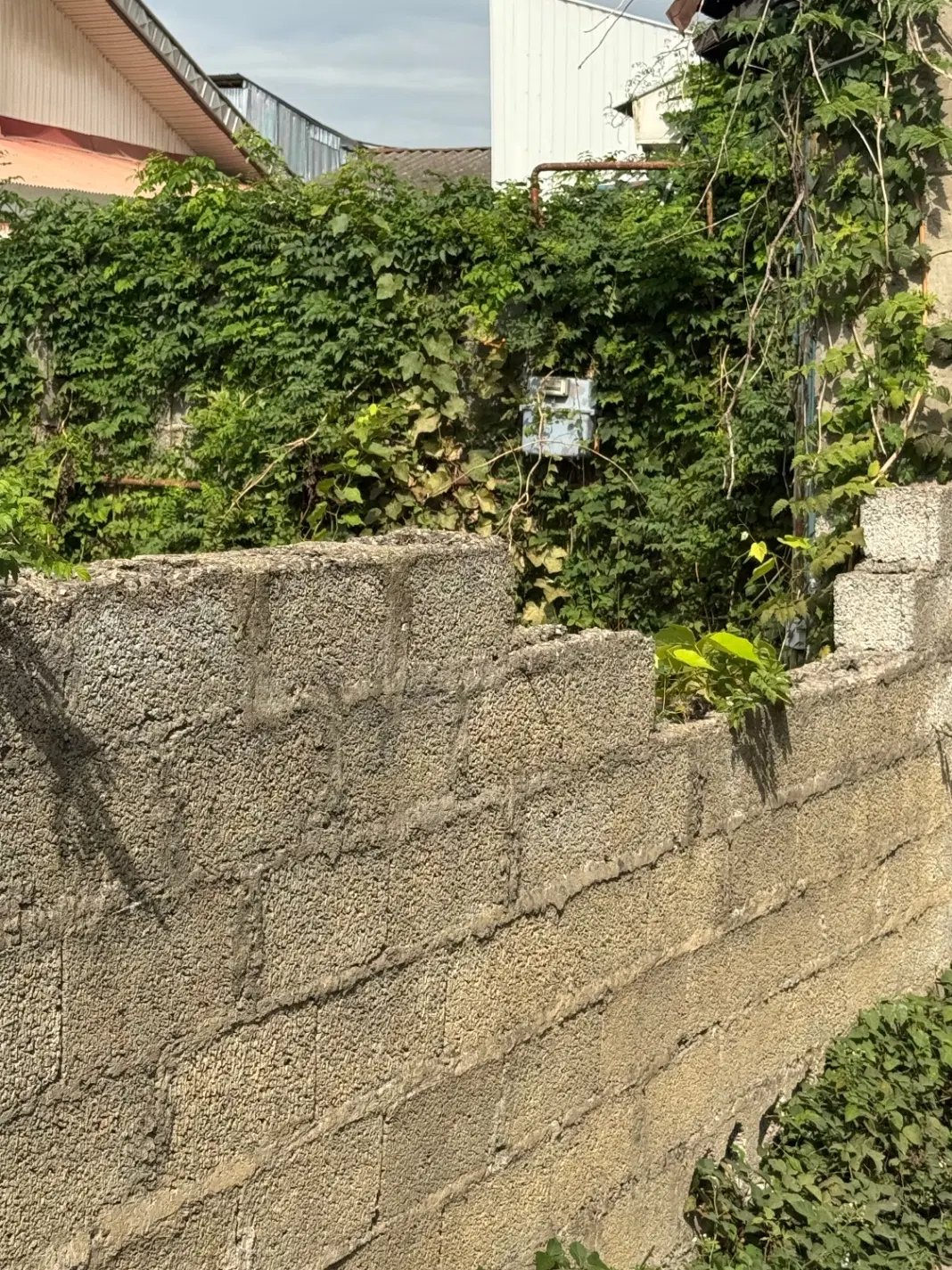 ویلای کلنگی