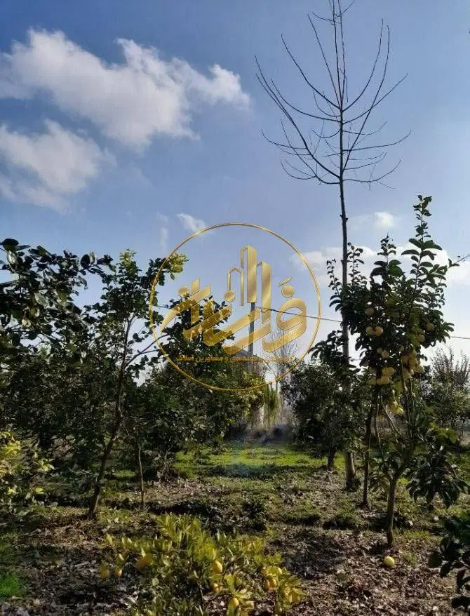 فروش زمین با کاربری مسکونی و سند تک برگ
