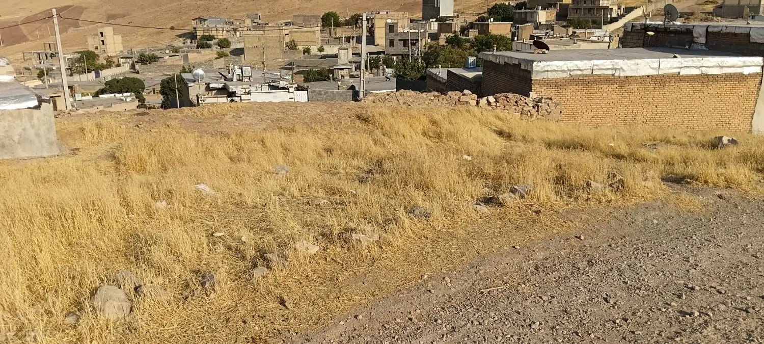 زمین مسکونی چشمه سفید