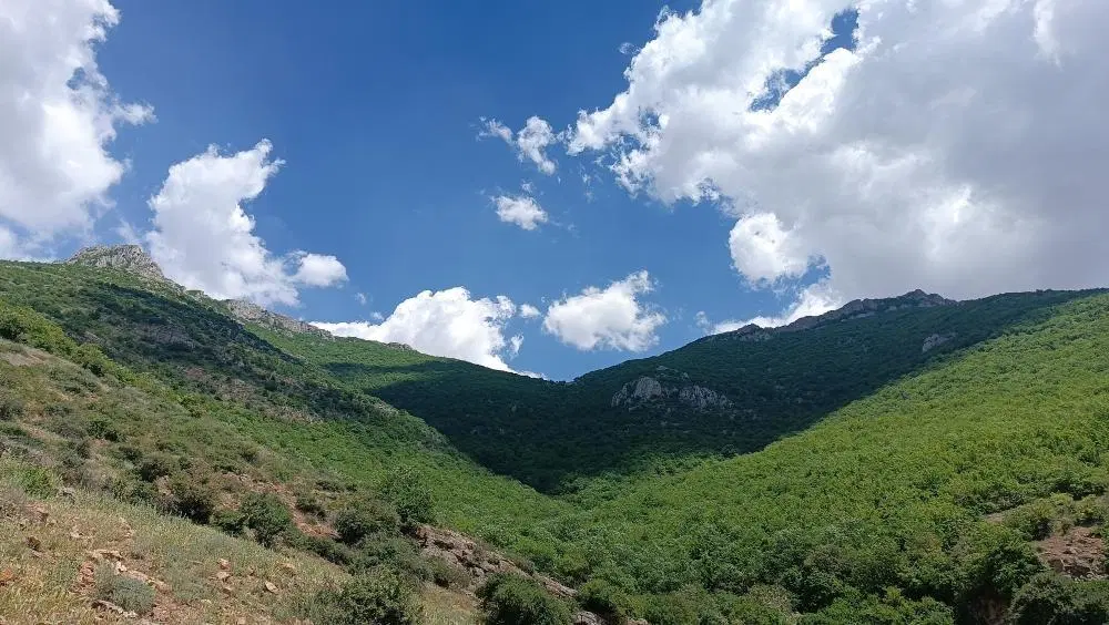 زمین کشاورزی