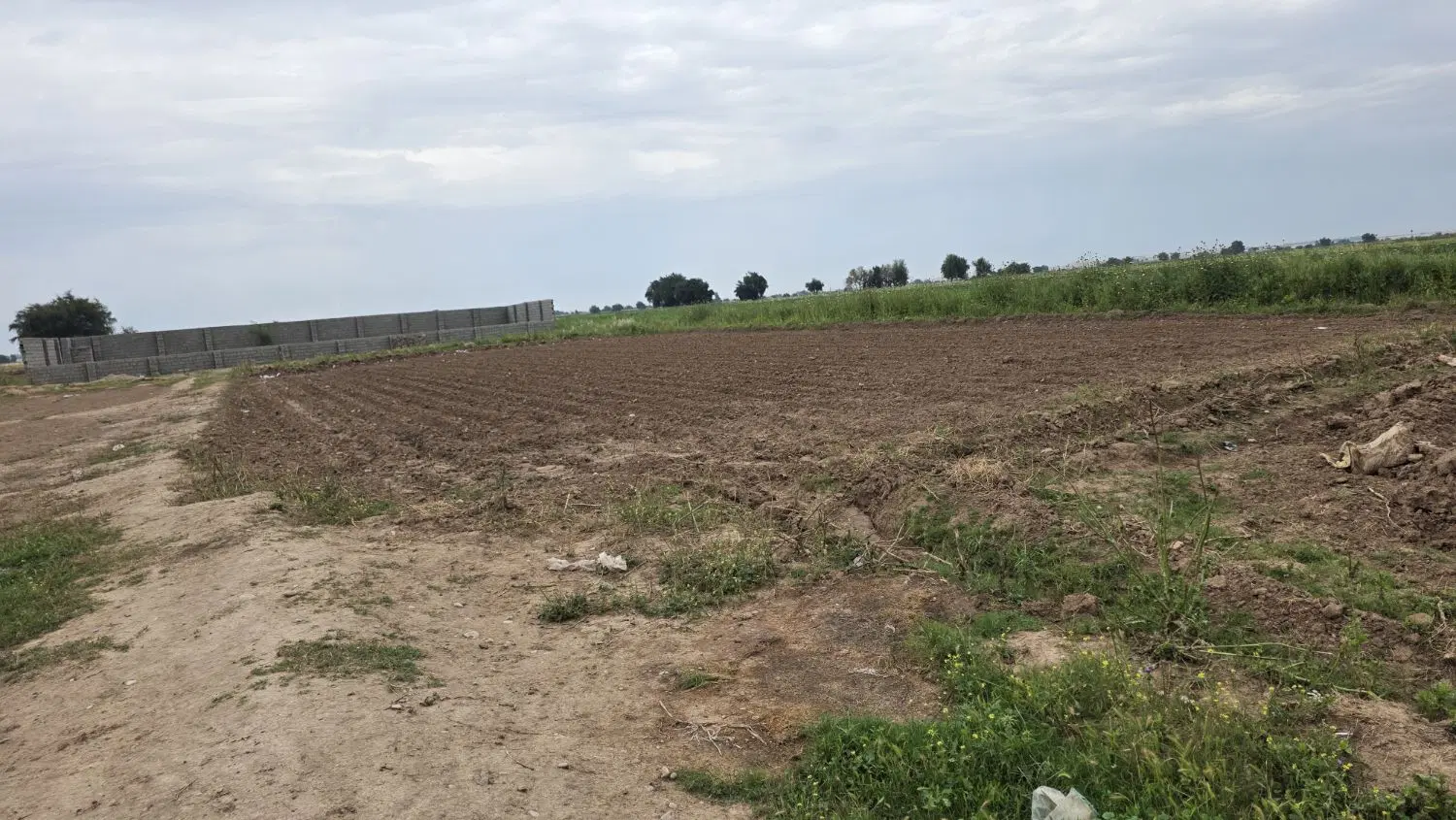 فروش ۱۳۴۰ متر زمین کشاورزی