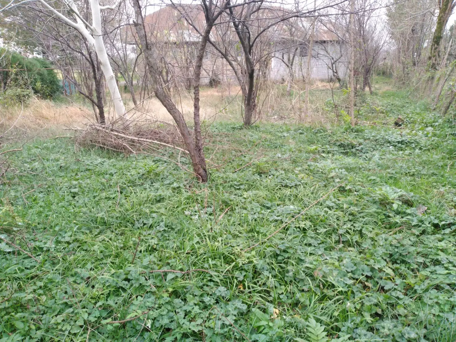 زمین فروشی