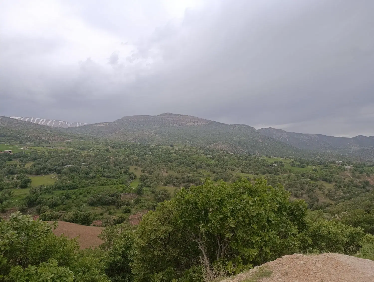 زمین باغ وارک غربی