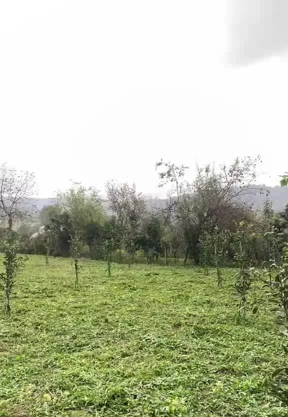 فروش زمین کشاورزی