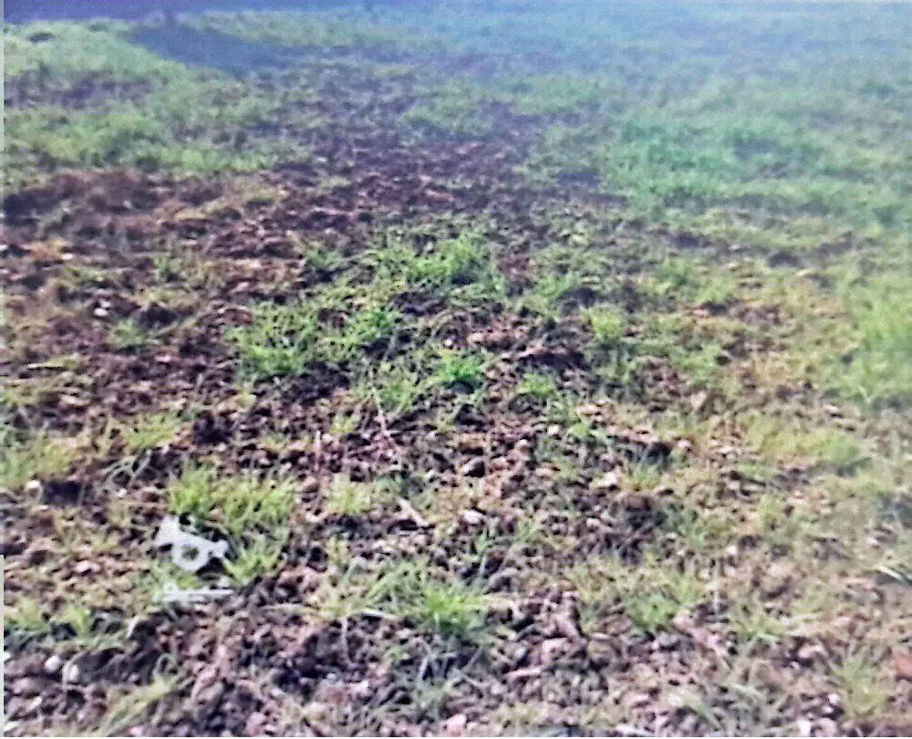 فروش 400 متر زمین در روستای نجار کلای جدید