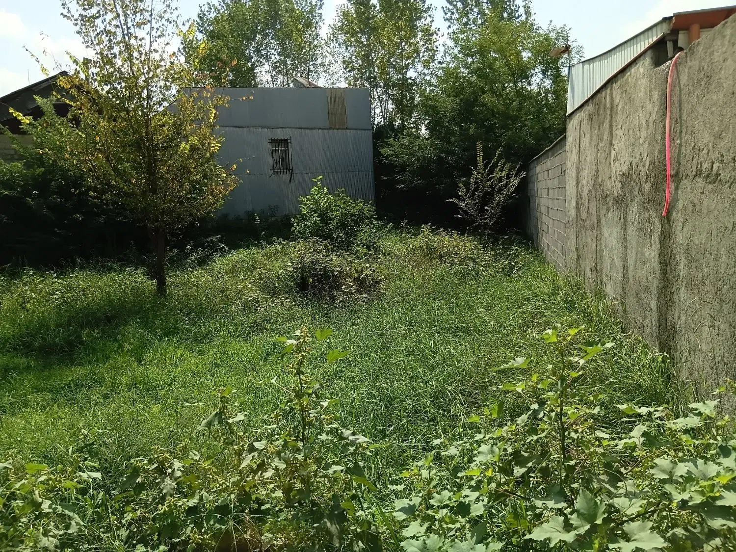 زمین مسکونی در تولم شهر