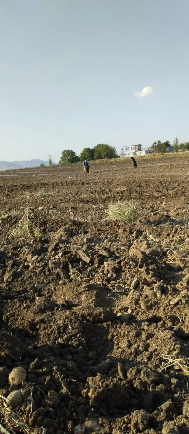 چهار هکتار زمین آبی رودخانه