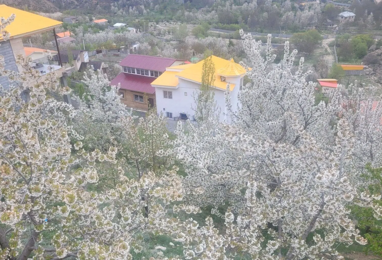 اجاره دپو زمین ۲۰۰۰ متری روستای هاره