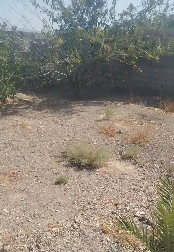 زمین‌‌روستای‌باغات‌،