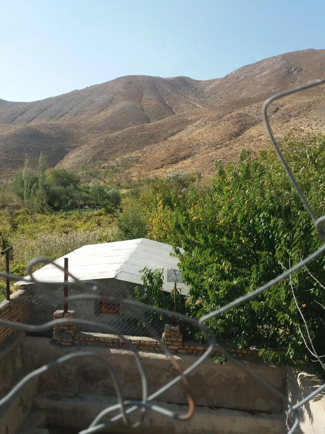 فروش باغ