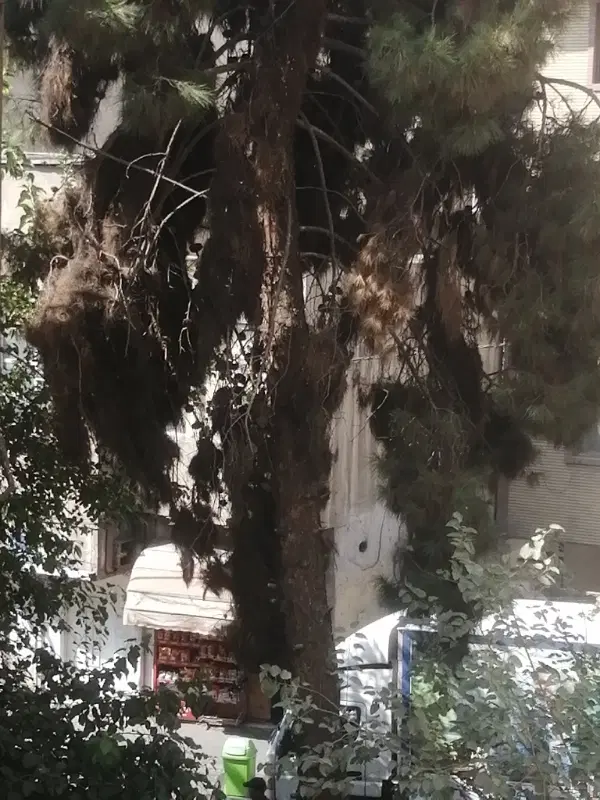 خانه ویلایی