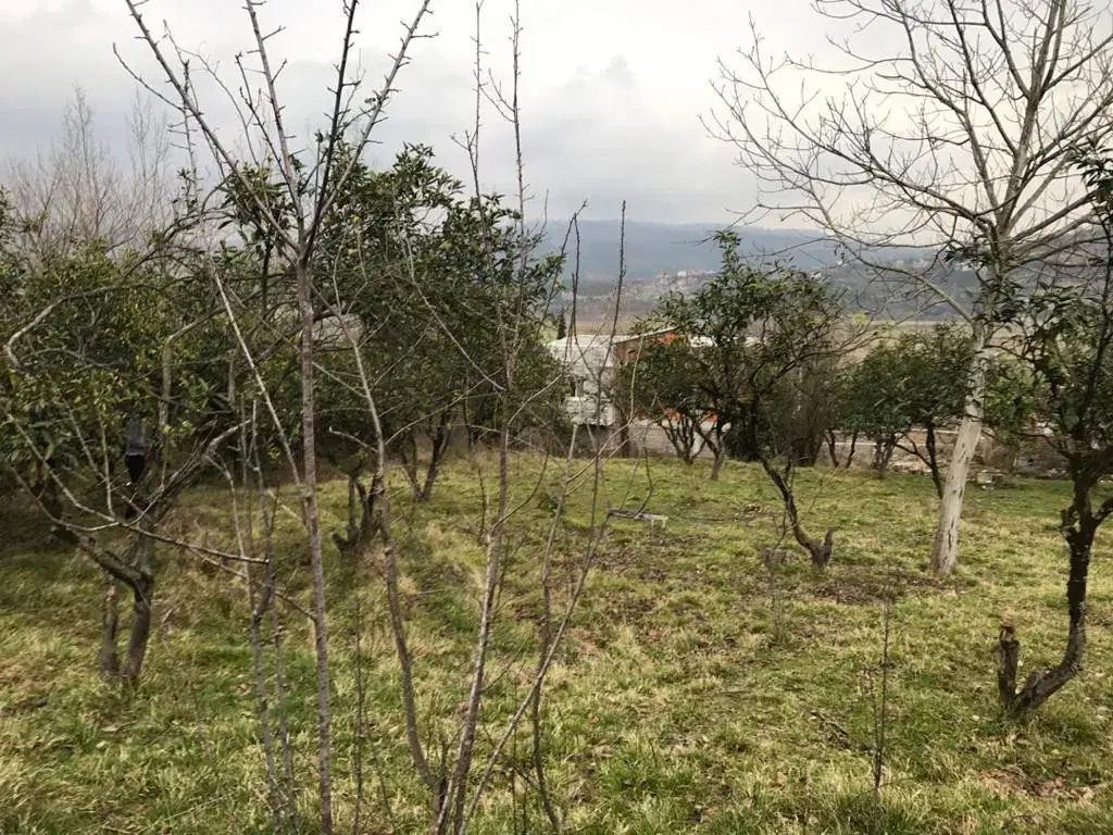 ۱۵۰۰ متر زمین سند دار شهری