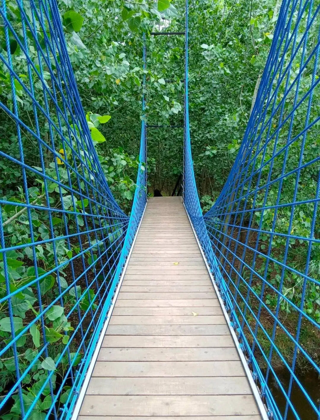 آرامش را به خانه ببرید