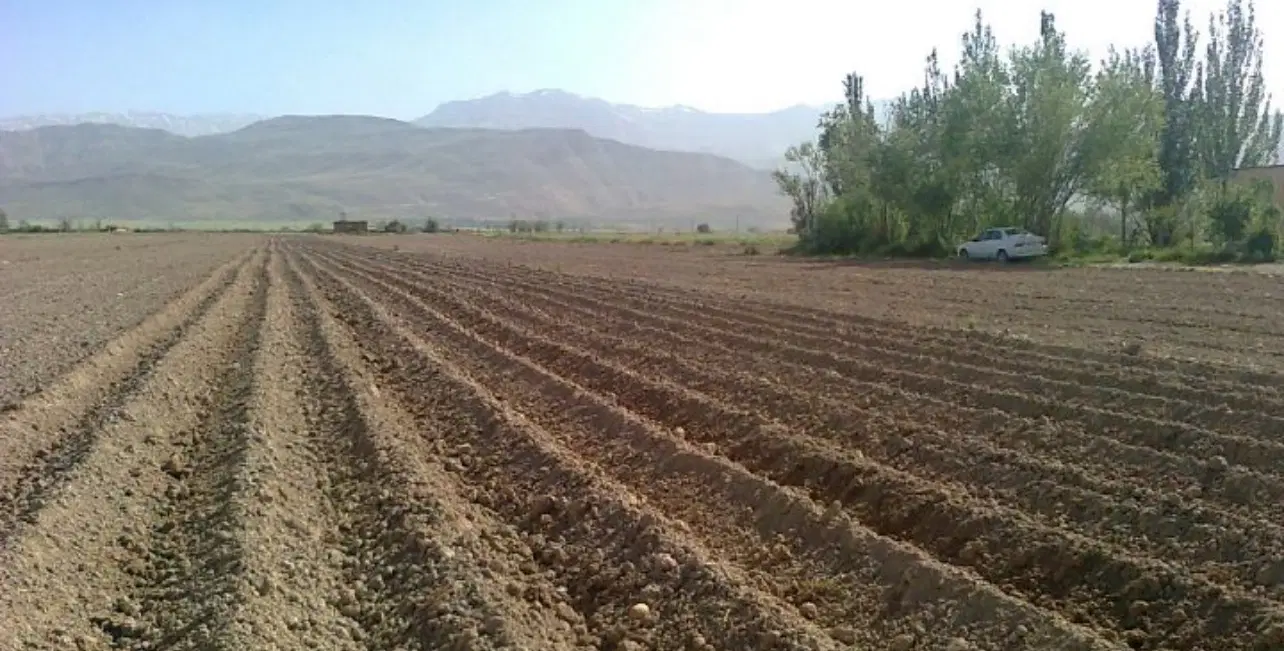 فروش ۳هزار متر زمین کشاورزی