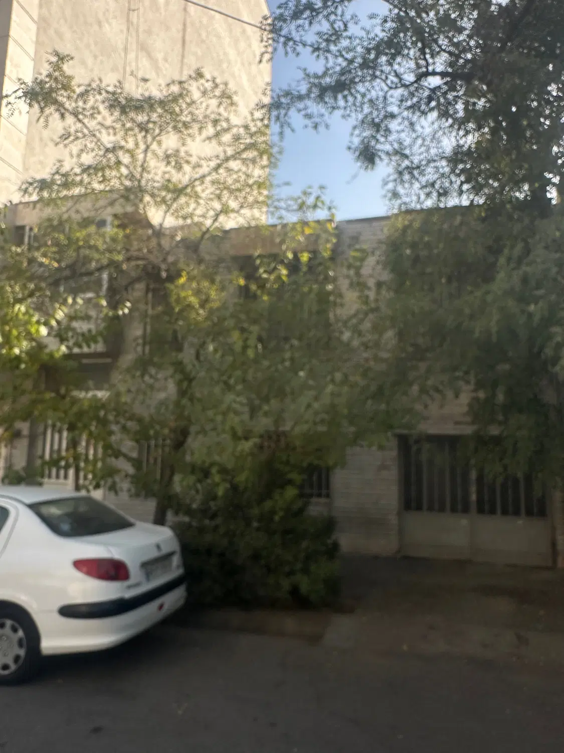 ملک،زمین