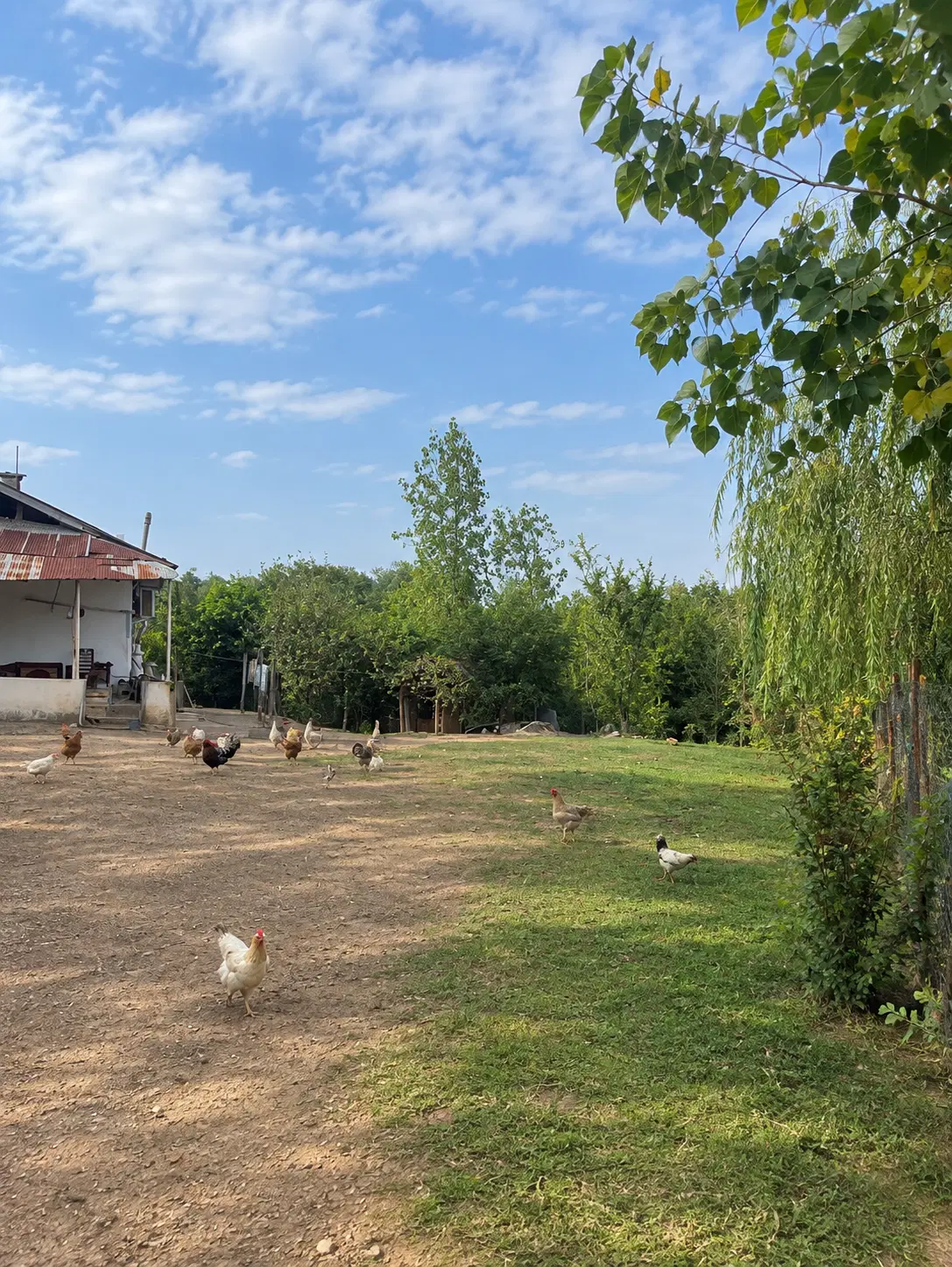 فروش خانه ومحوطه روستایی