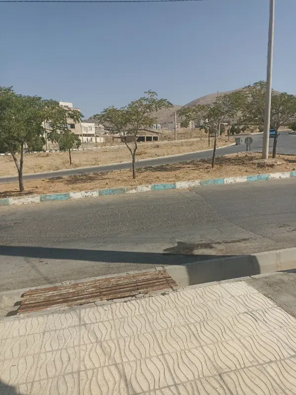 فروش سروقامتان اندیشه