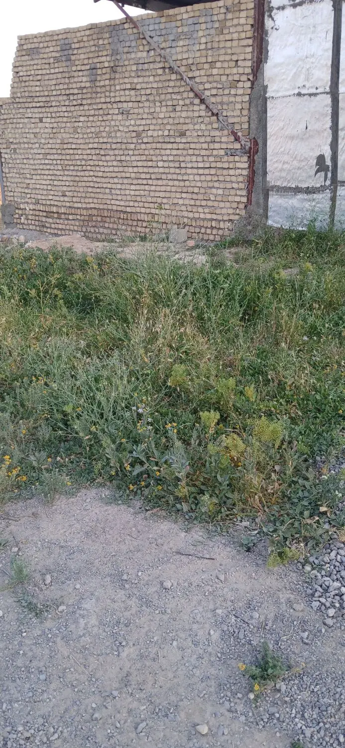زمین مسکونی