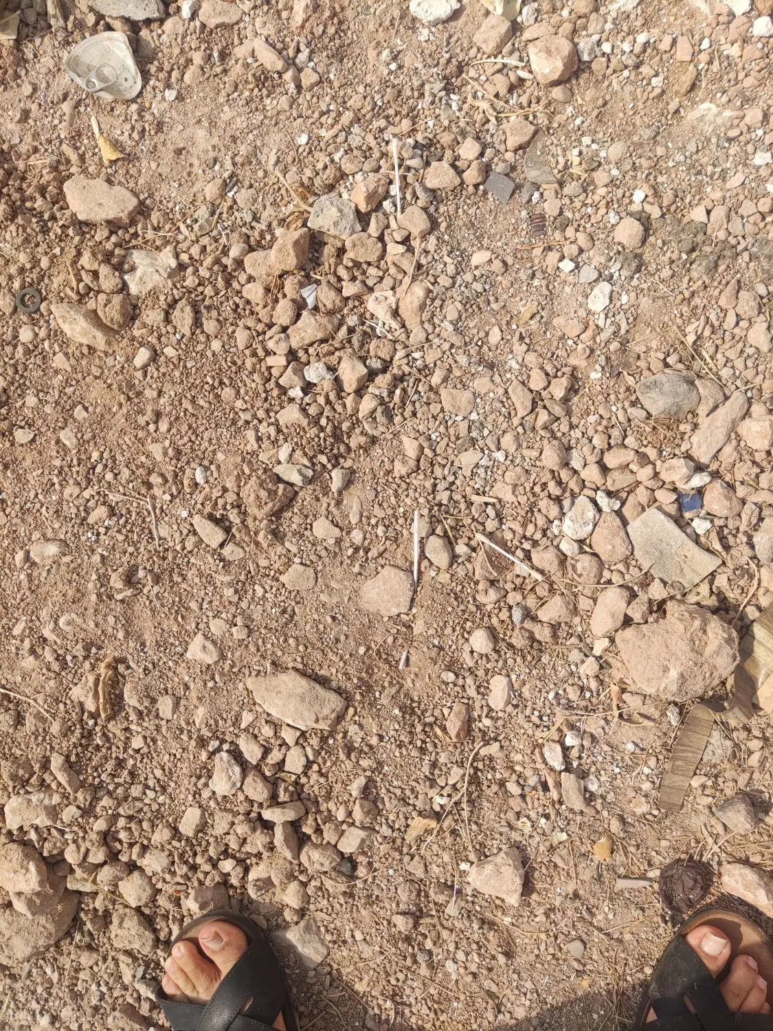 زمین سه فرزندی موقعیت تجاری مسکونی