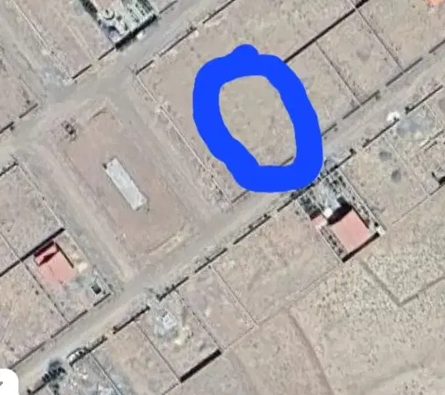 زمین با پروانه