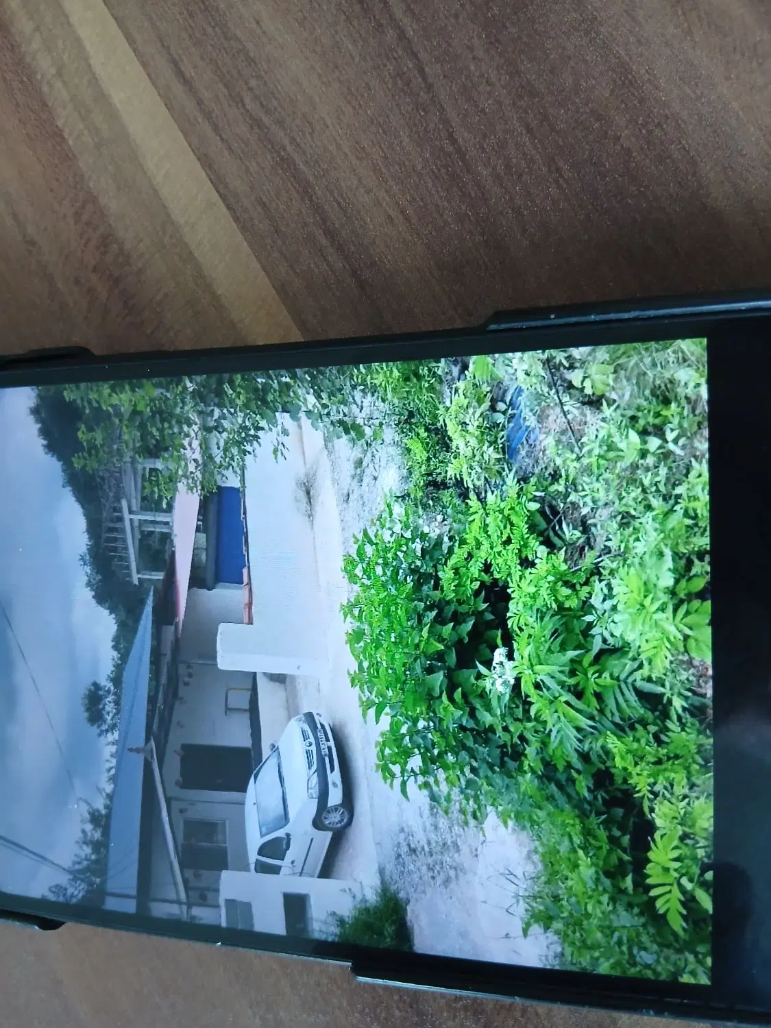 اجاره ویلا دربست جنگلی مبله