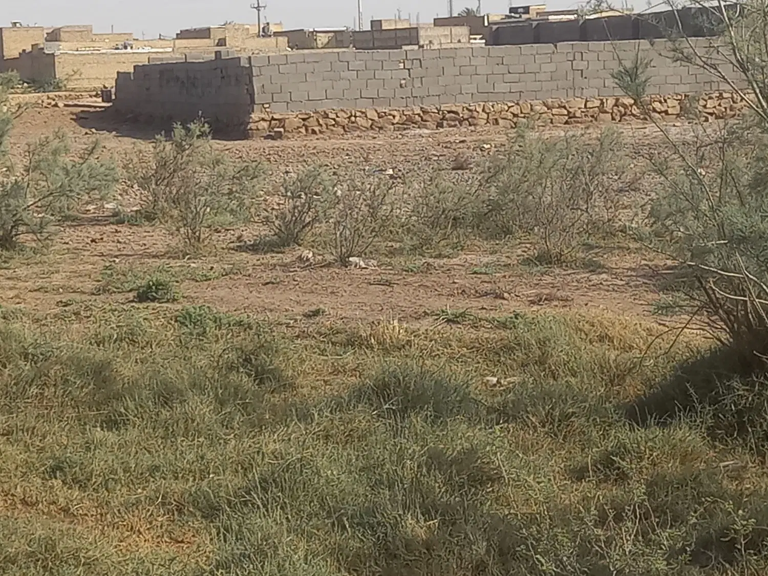 زمین مسکونی