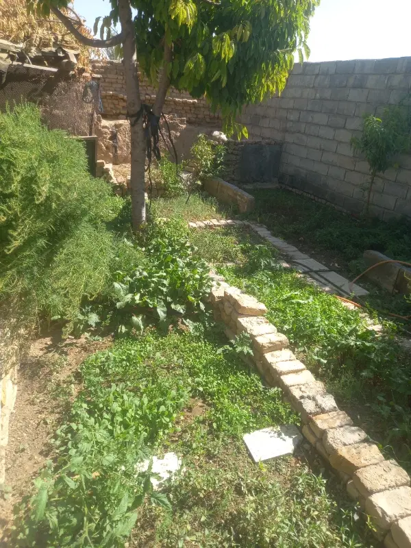 زمین کشاورزی