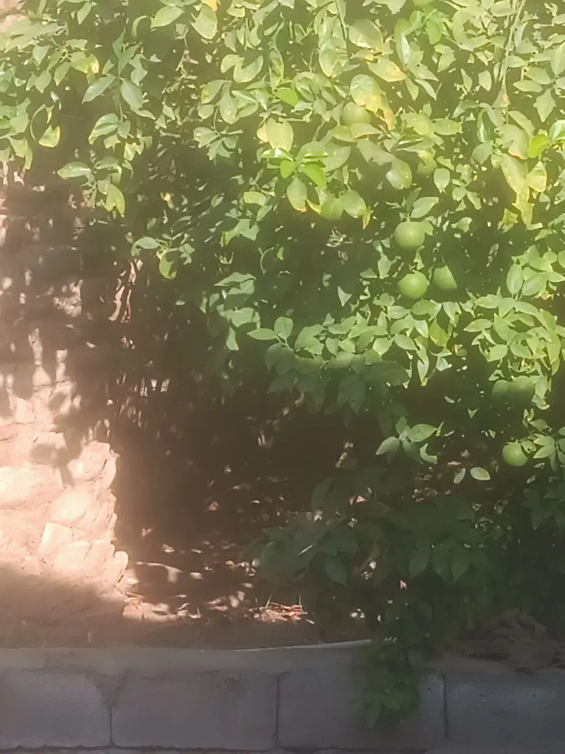 فروش خانه