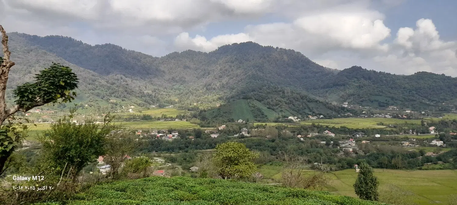 ۵۵۰متر زمین سند تک برگ