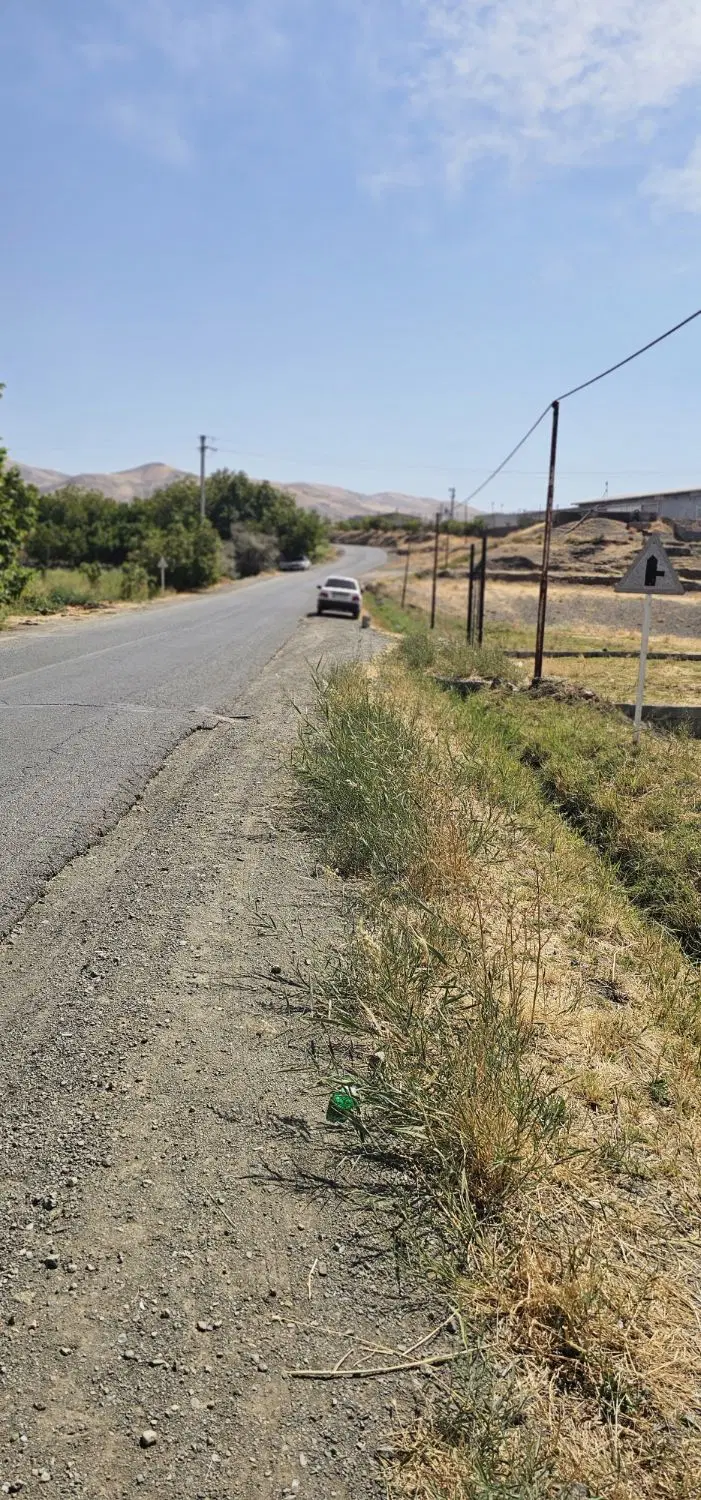 زمین باغی