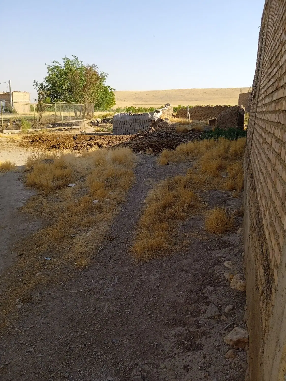خاک در تبت محدوده خوش فروش