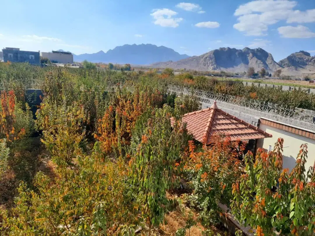 اجاره دربستی