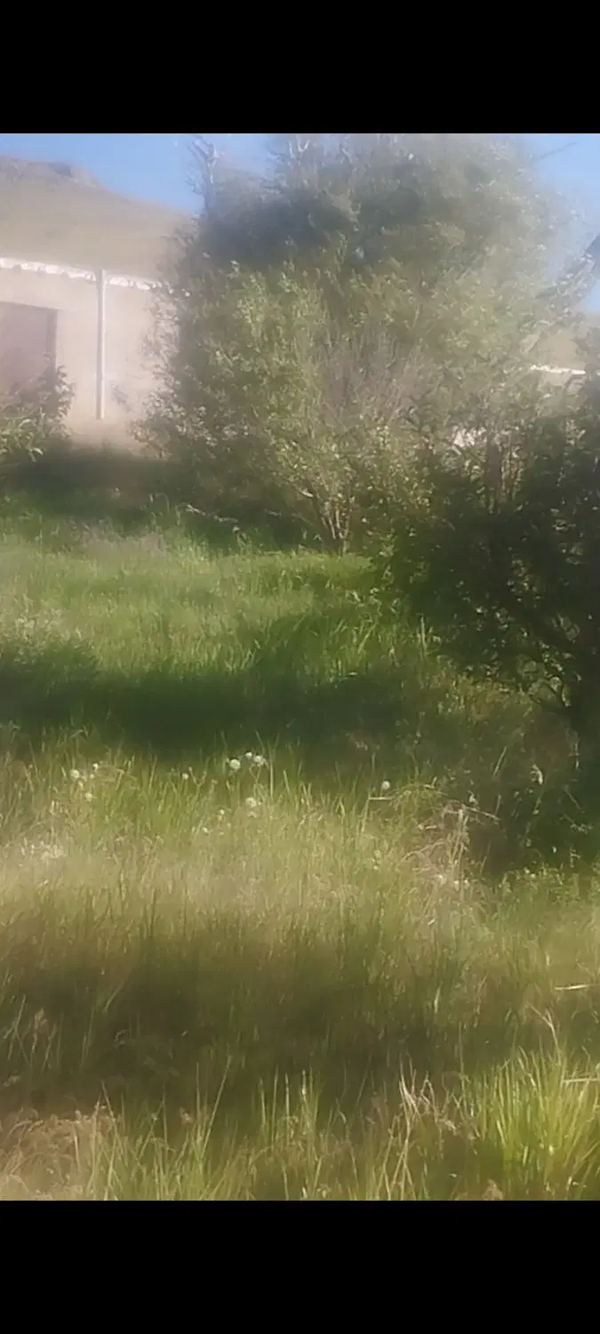 زمین باغی *سند دار *