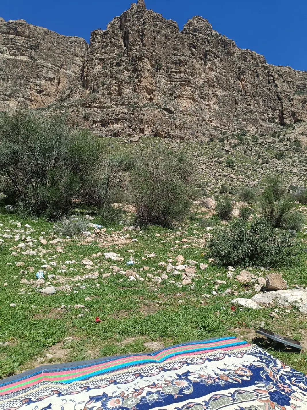 زمین دو نبش 280متری