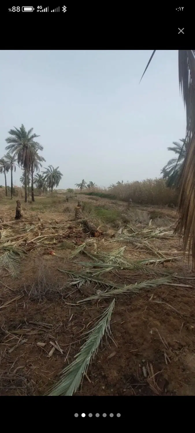 زمین مسکونی
