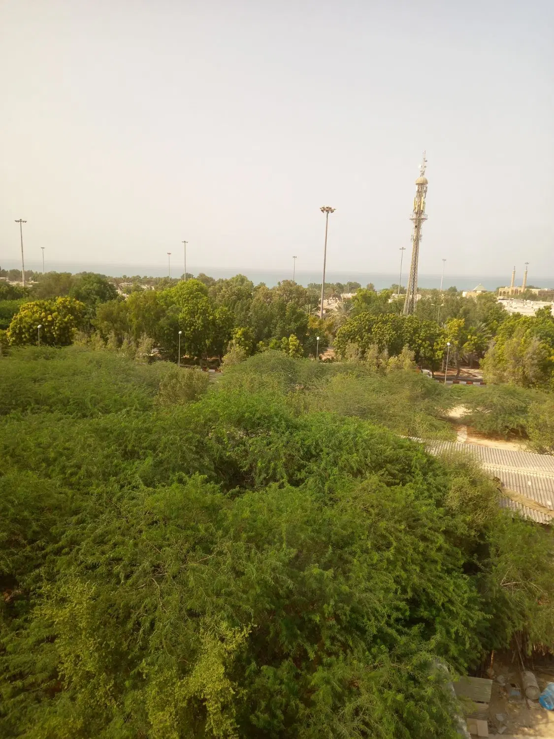 زمین مسکونی
