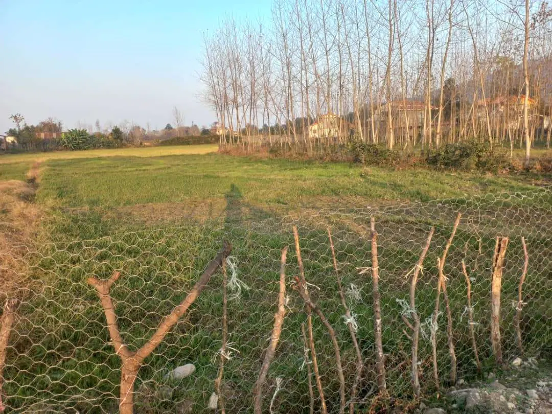 زمین مسکونی در روستای دارباغ