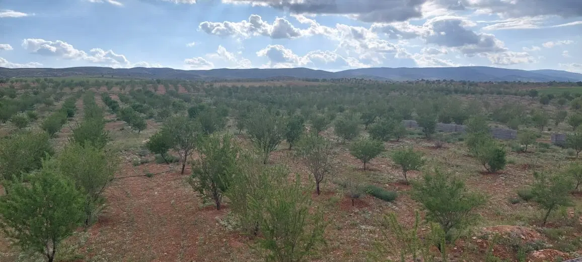 زمین باغی هفت برم