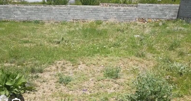زمین ۳۱۶ متری گلسار