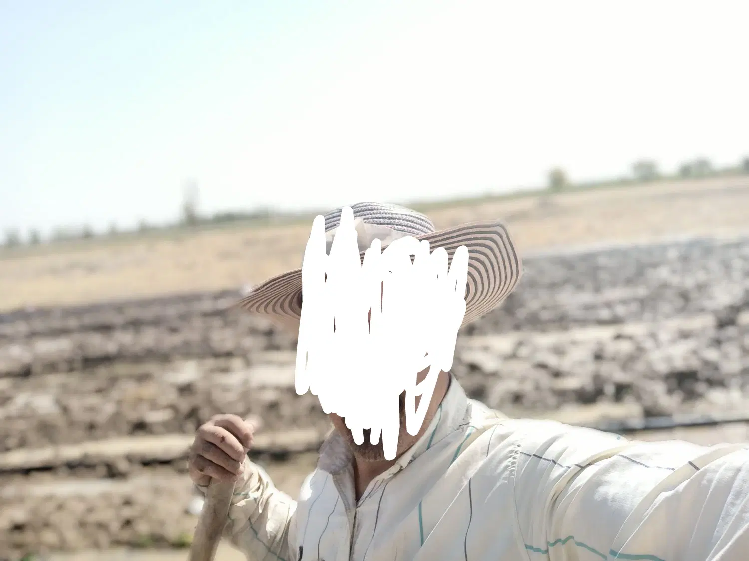 هزار مترزمین زعفران کشت سال گذشته